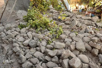 یک روز پس از «زلزله آذربایجان»