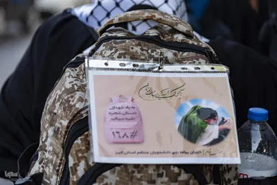 کاروان دانشگاهیان استان البرز پای پیاده در راه تشییع رهبر شهید