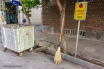 مدافعان پاکیزگی