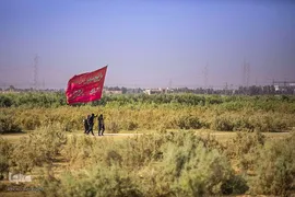 مشایه الی الکربلا