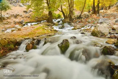 طبیعت پاییزی روستای گردشگری شیوند