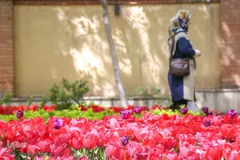 رویش در باغ ایرانی