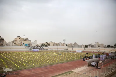 «عید همدلی»- شیراز
