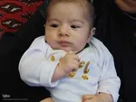 همایش شیرخوارگان حسینی در اهر