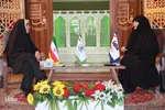 فهیمه جفرسته، حافظ کل و استاد راهنما