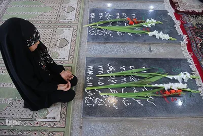 اجتماع عاشقان شهادت در شهر شیراز‎‎