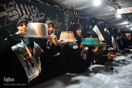 پویش پخت مقلوبه در تهران
