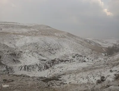 بارش برف در شهرستان اهر