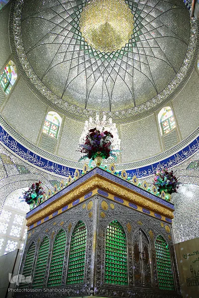 امامزادگان؛ ذخائر معنوی جامعه