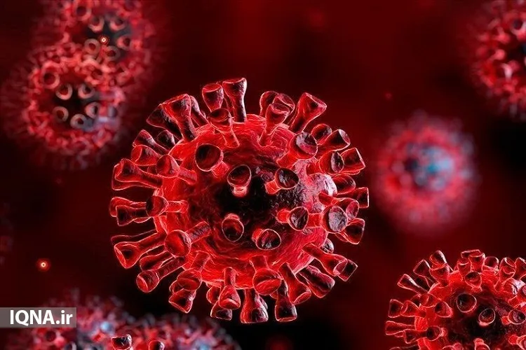 بستری ۸۳۱ بیمار در بخش‌های کرونایی بیمارستان‌های استان بوشهر/ ثبت ۱۱ فوتی جدید