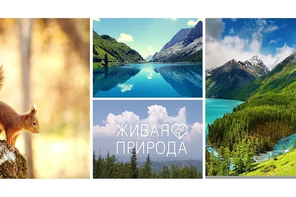 В России телеканалы получают халяль-сертификаты
