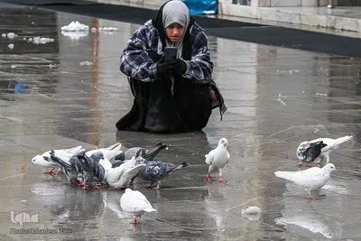 بارش برف در حرم امام رضا (ع)