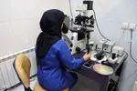 بازدید فرماندار تبریز از بخش‌های مختلف سازمان جهاددانشگاهی آذربایجان شرقی‎