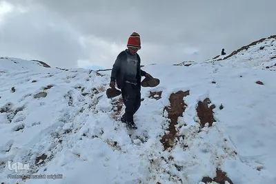 رخت سفید بر تن یزد جهانی