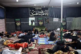 عشاق الحسین(ع) در طریق کربلا