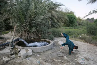 فرزندان سیستان