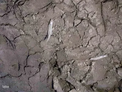 وضعیت بحرانی آب در برخی سدهای اهر