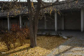 آخرین روزهای برگ‌ریزان دانشگاه تهران