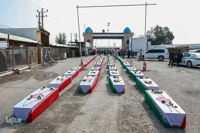 بازگشت لاله‌ها به آغوش وطن