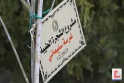Libanon pflanzt 12000 Bäume im Gedenken an Märtyrer Qasem Soleimani