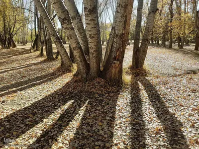 رنگ آمیزی طبیعت در مناطق روستایی شهرستان اهری