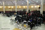 رقابت‌ رشته‌های حفظ بخش بانوان مسابقات قرآن - اراک/عکاس:زهرا بهرامی