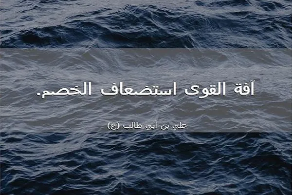 المؤمن القويُّ خير من المؤمن الضعيف