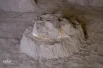 مراغه بهشت پستانداران ماقبل تاریخ‎‎