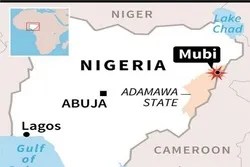 Magaidi waua watu 60 katika hujuma msikitini, sokoni nchini Nigeria