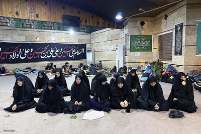 بازدید مسئولان حج و زیارت از خدمات به زائران در مسیر مشایه و کربلای معلی