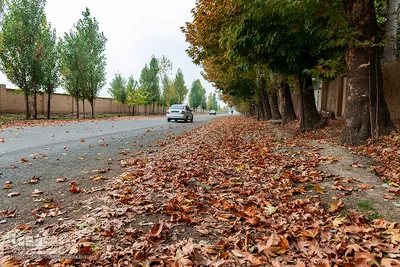 گردش پاییزی در شهر کرج