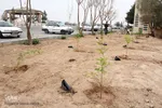 مراسم بزرگداشت روز شهدا در استان یزد‎‎