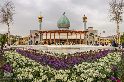 حماسه حضور برای ظهور