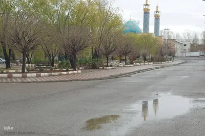 طراوت طبیعت اهر با بارش بهاری