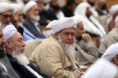 دیدار جمعی از علمای اهل سنت با رئیس مجلس