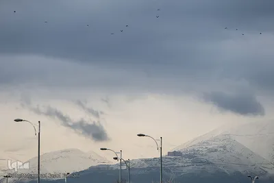 بارش باران در تهران 