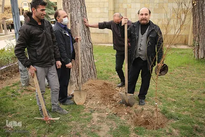 کاشت درخت توسط هنرمندان در فرهنگسرای نیاوران