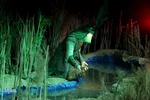 مراسم سوگواری عزاداری شب شهادت امام رضا(ع) در مسجد رسول اعظم(ص) شیراز