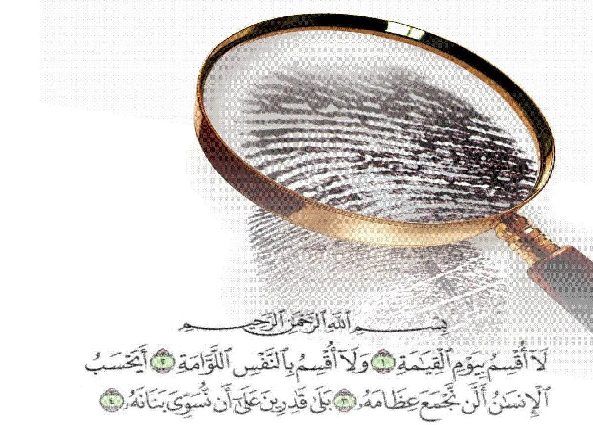 د  انسان د ګوتو اثر،دخداوندمتعال د قدرت یوه نښه ده