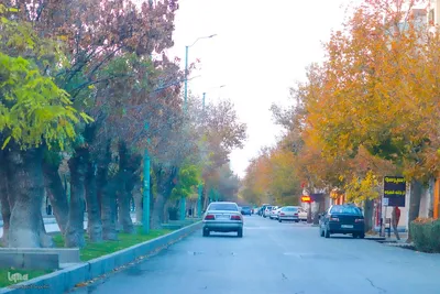 پاییز هزار رنگ ملایر