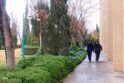 آخرین روز‌های پاییز در دانشگاه اصفهان