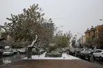 بارش اولین برف پاییزی در مشهد
