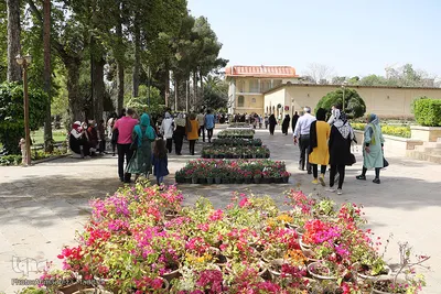 مسافران نوروزی در باغ ارم شیراز