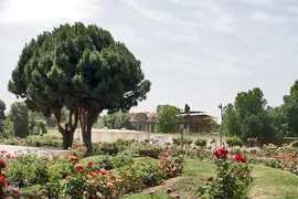 روند مرمت باغ ارم شیراز