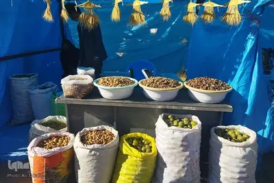 دومین جشنواره گردو و بادام علی آباد دمق شهرستان ملایر‎