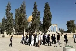 Muslims Denied Freedom of Worship at Al-Aqsa Mosque