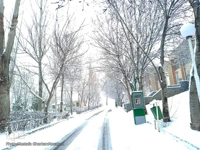 بارش برف در واپسین روزهای فصل زمستان در اهر