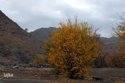 طبیعت پاییزی خراسان‌جنوبی