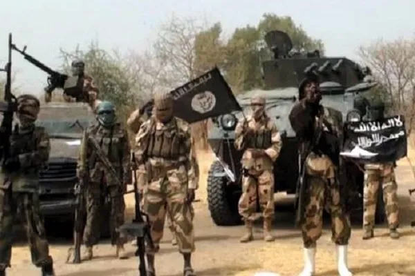 Boko Haram'ın rehin tuttuğu 73 kişi kurtarıldı