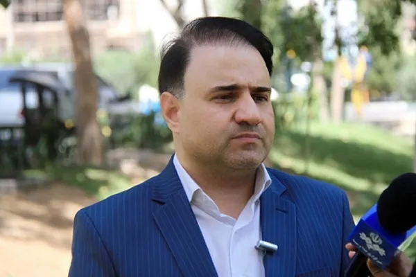 ۲۵۱ درخت خطرآفرین از سطح شهر قم برداشته می‌شود